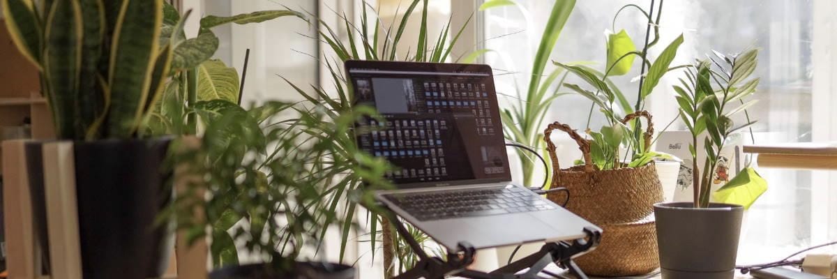 Laptop Resting on Stand With Plants
