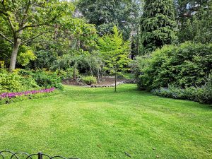 Landscape in a back yard