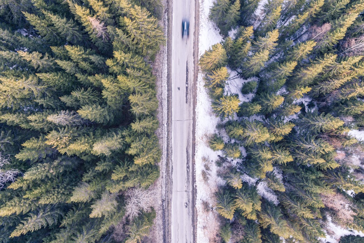 An above view of a road through a forest in Maine