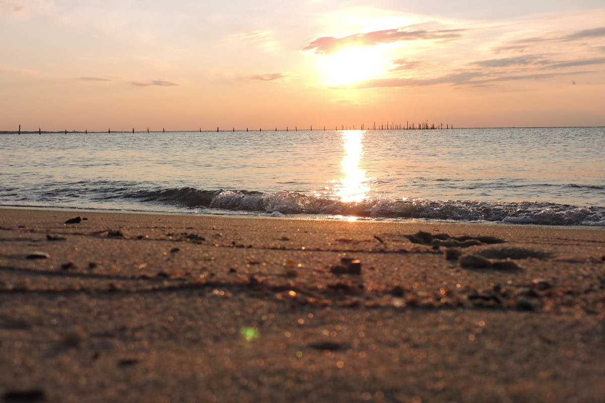 A beach in Virginia Beach, Virginia